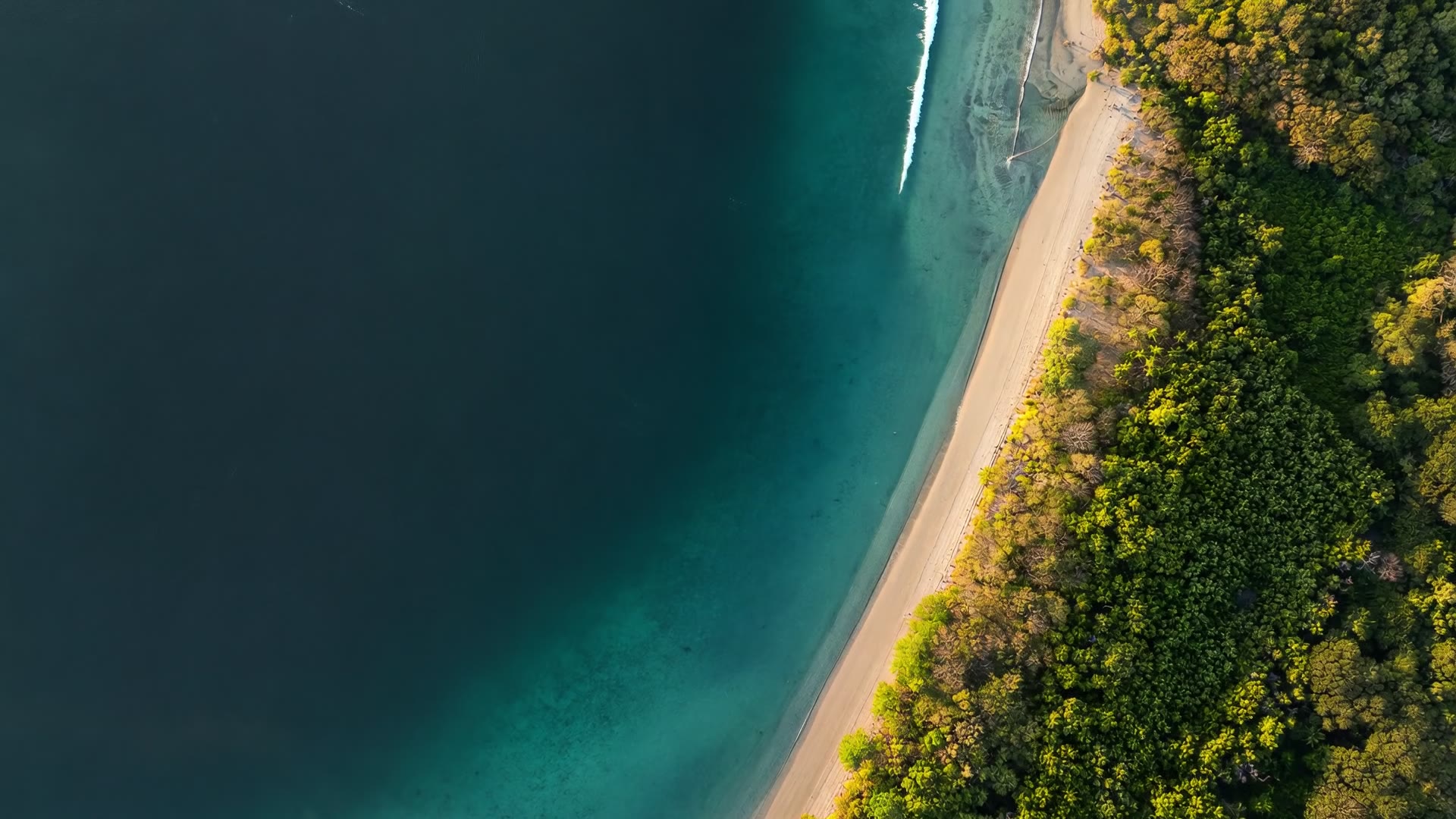 A forested coastline meeting turquoise water