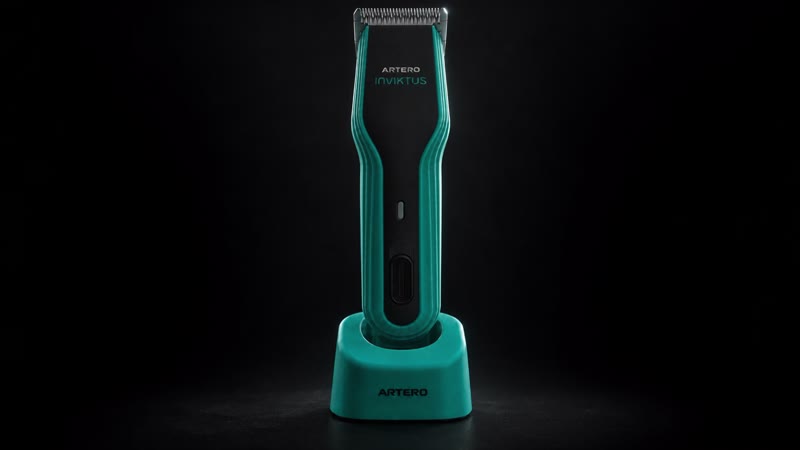 The outer silhouette establishes the product.